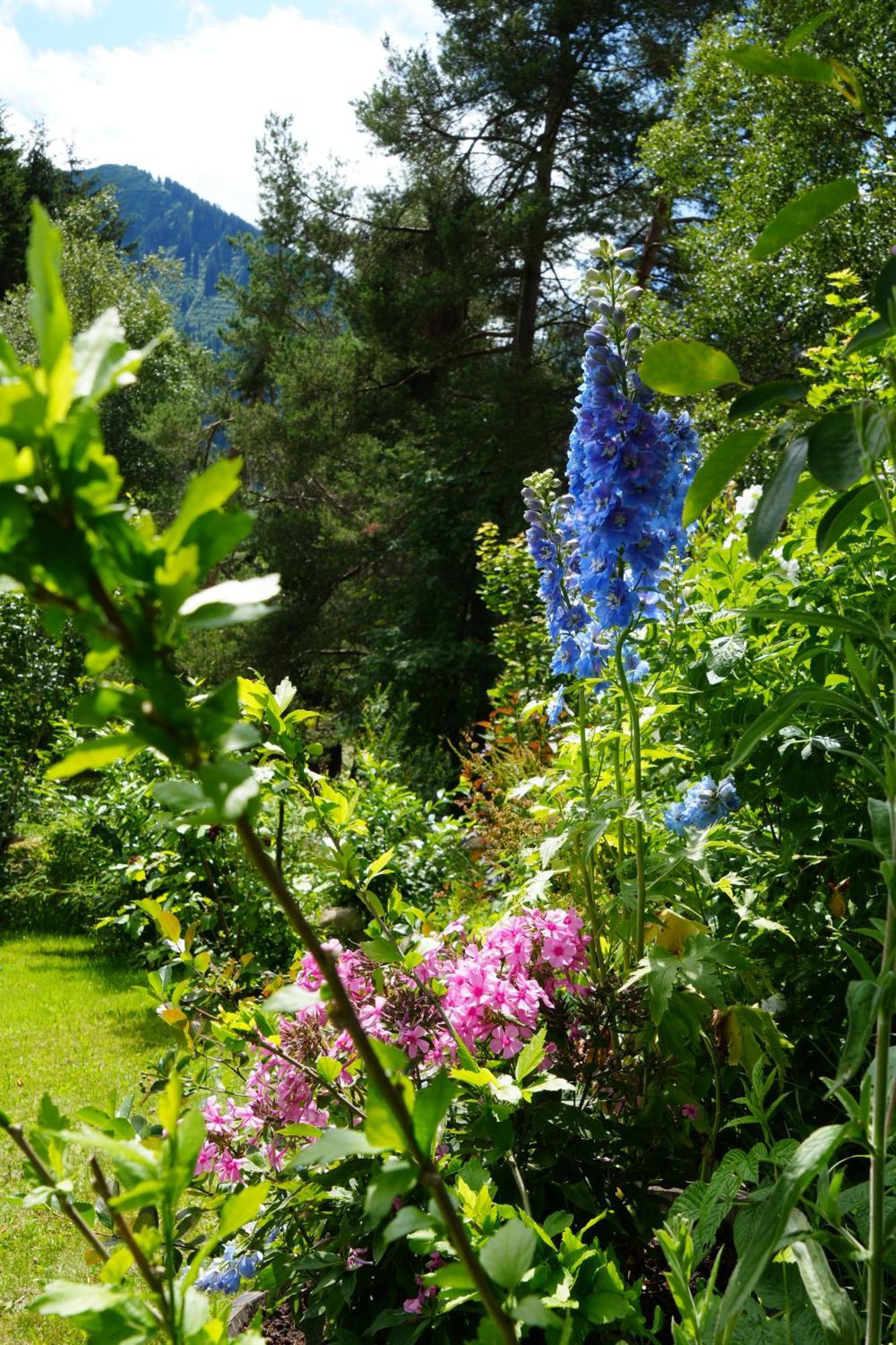 Boutique Herzhof - Garni-appartements - Adults Only